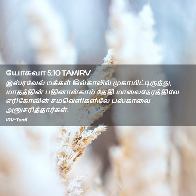 Picture 02 - யோசுவா 5:10 TAMIRV - இஸ்ரவேல் மக்கள் - Bible Verse Picture