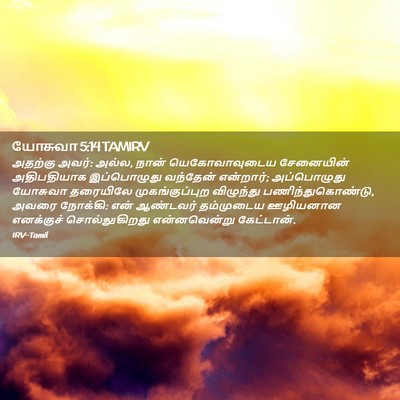 Picture 02 - யோசுவா 5:14 TAMIRV - அதற்கு அவர்: அல்ல, - Bible Verse Picture