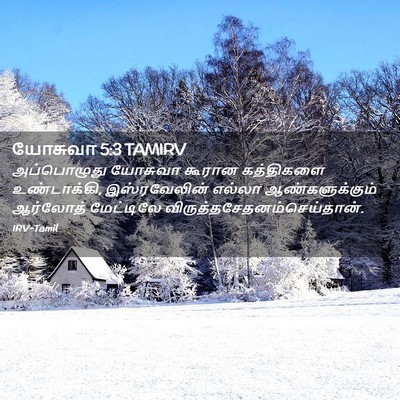 Picture 02 - யோசுவா 5:3 TAMIRV - அப்பொழுது யோசுவா - Bible Verse Picture