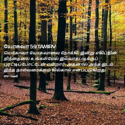 Picture 02 - யோசுவா 5:9 TAMIRV - யெகோவா யோசுவாவை - Bible Verse Picture