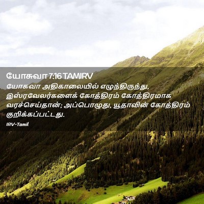 Picture 02 - யோசுவா 7:16 TAMIRV - யோசுவா - Bible Verse Picture
