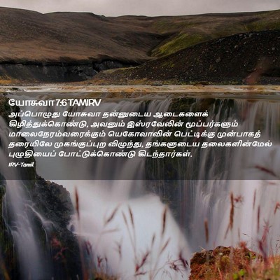 Picture 02 - யோசுவா 7:6 TAMIRV - அப்பொழுது யோசுவா - Bible Verse Picture