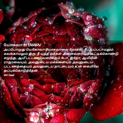 Picture 02 - யோசுவா 8:1 TAMIRV - அப்பொழுது யெகோவா - Bible Verse Picture