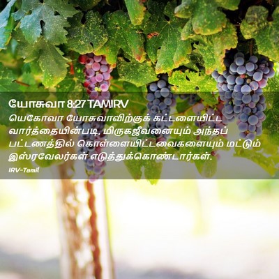 Picture 02 - யோசுவா 8:27 TAMIRV - யெகோவா - Bible Verse Picture