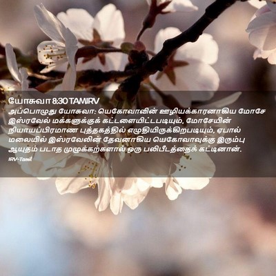 Picture 02 - யோசுவா 8:30 TAMIRV - அப்பொழுது யோசுவா: - Bible Verse Picture