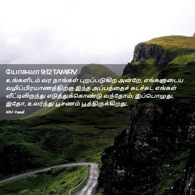 Picture 02 - யோசுவா 9:12 TAMIRV - உங்களிடம் வர - Bible Verse Picture