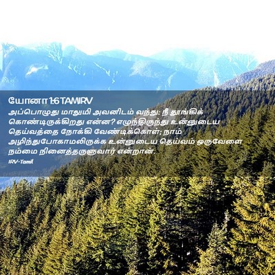 Picture 02 - யோனா 1:6 TAMIRV - அப்பொழுது மாலுமி - Bible Verse Picture