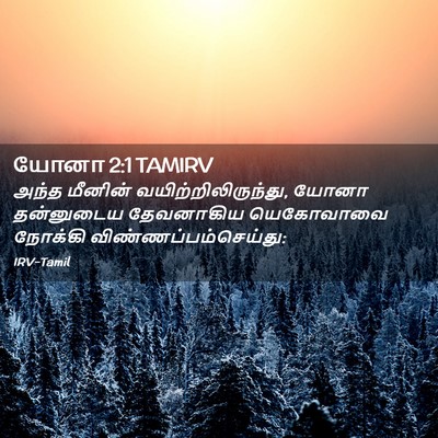 Picture 02 - யோனா 2:1 TAMIRV - அந்த மீனின் - Bible Verse Picture