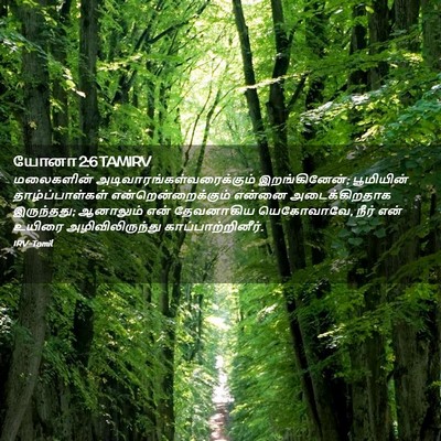 Picture 02 - யோனா 2:6 TAMIRV - மலைகளின் - Bible Verse Picture