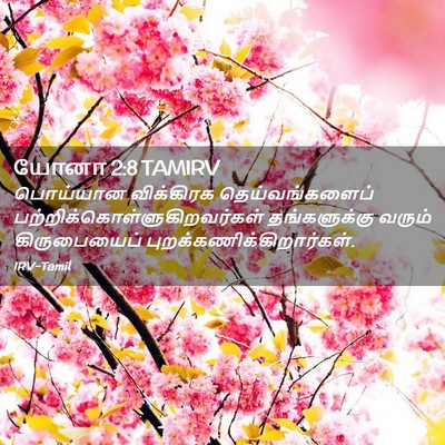 Picture 02 - யோனா 2:8 TAMIRV - பொய்யான விக்கிரக - Bible Verse Picture