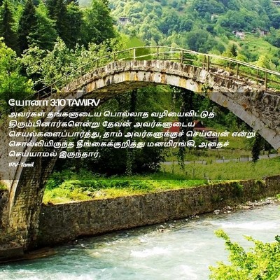 Picture 02 - யோனா 3:10 TAMIRV - அவர்கள் தங்களுடைய - Bible Verse Picture