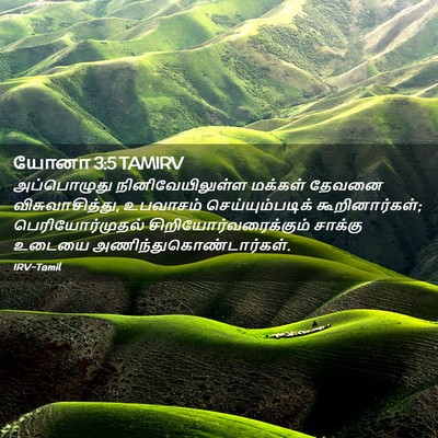 Picture 02 - யோனா 3:5 TAMIRV - அப்பொழுது - Bible Verse Picture