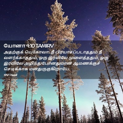 Picture 02 - யோனா 4:10 TAMIRV - அதற்குக் யெகோவா: - Bible Verse Picture