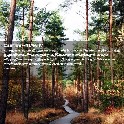 Picture 02 - யோனா 4:11 TAMIRV - வலதுகைக்கும் - Bible Verse Picture
