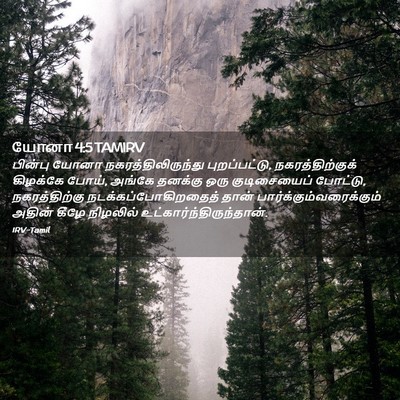 Picture 02 - யோனா 4:5 TAMIRV - பின்பு யோனா - Bible Verse Picture
