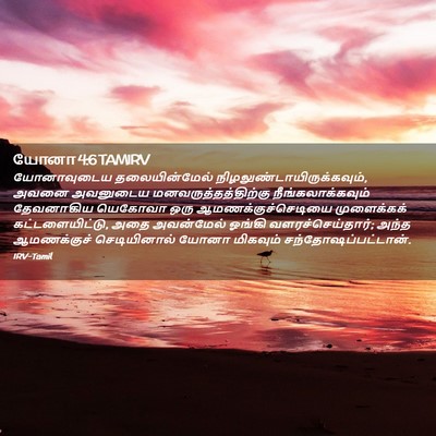 Picture 02 - யோனா 4:6 TAMIRV - யோனாவுடைய - Bible Verse Picture