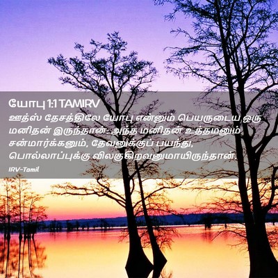 Picture 02 - யோபு 1:1 TAMIRV - ஊத்ஸ் தேசத்திலே - Bible Verse Picture