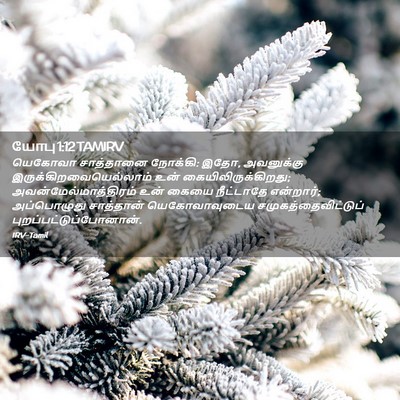 Picture 02 - யோபு 1:12 TAMIRV - யெகோவா சாத்தானை - Bible Verse Picture