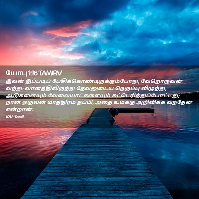 Picture 02 - யோபு 1:16 TAMIRV - இவன் இப்படிப் - Bible Verse Picture
