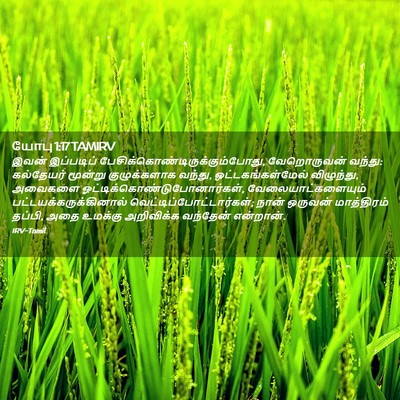 Picture 02 - யோபு 1:17 TAMIRV - இவன் இப்படிப் - Bible Verse Picture