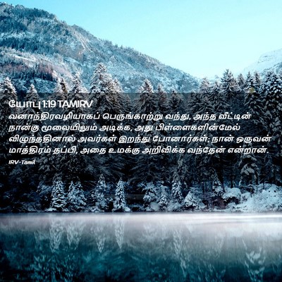 Picture 02 - யோபு 1:19 TAMIRV - வனாந்திரவழியாகப் - Bible Verse Picture