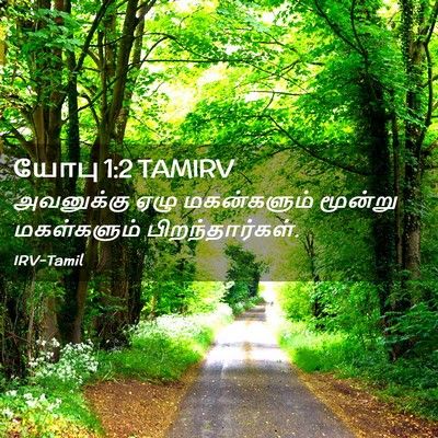 Picture 02 - யோபு 1:2 TAMIRV - அவனுக்கு ஏழு - Bible Verse Picture