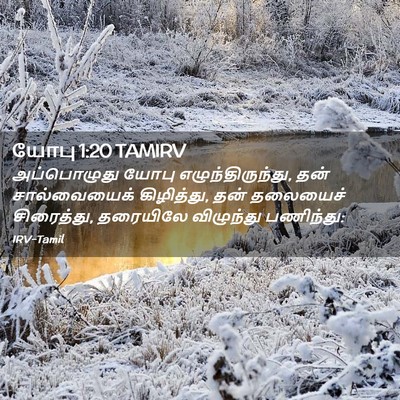 Picture 02 - யோபு 1:20 TAMIRV - அப்பொழுது யோபு - Bible Verse Picture
