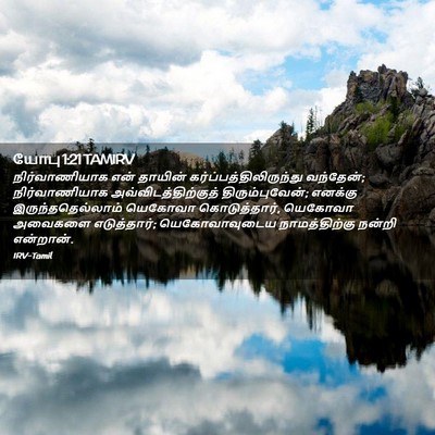 Picture 02 - யோபு 1:21 TAMIRV - நிர்வாணியாக என் - Bible Verse Picture