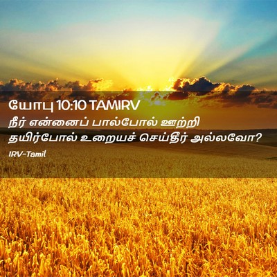 Picture 02 - யோபு 10:10 TAMIRV - நீர் என்னைப் - Bible Verse Picture
