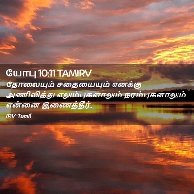 Picture 02 - யோபு 10:11 TAMIRV - தோலையும் - Bible Verse Picture
