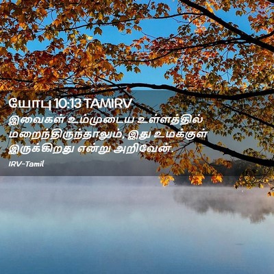 Picture 02 - யோபு 10:13 TAMIRV - இவைகள் உம்முடைய - Bible Verse Picture