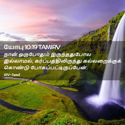 Picture 02 - யோபு 10:19 TAMIRV - நான் ஒருபோதும் - Bible Verse Picture