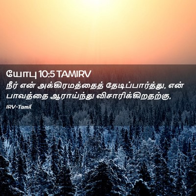 Picture 02 - யோபு 10:5 TAMIRV - நீர் என் - Bible Verse Picture
