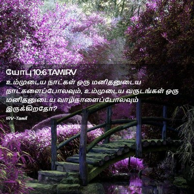 Picture 02 - யோபு 10:6 TAMIRV - உம்முடைய நாட்கள் - Bible Verse Picture