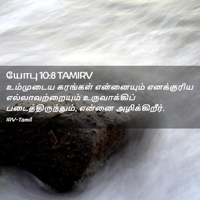 Picture 02 - யோபு 10:8 TAMIRV - உம்முடைய கரங்கள் - Bible Verse Picture