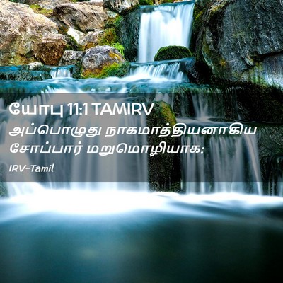 Picture 02 - யோபு 11:1 TAMIRV - அப்பொழுது - Bible Verse Picture