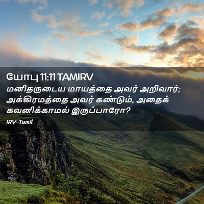 Picture 02 - யோபு 11:11 TAMIRV - மனிதருடைய மாயத்தை - Bible Verse Picture