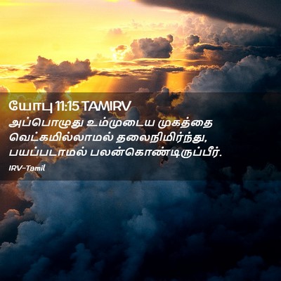 Picture 02 - யோபு 11:15 TAMIRV - அப்பொழுது - Bible Verse Picture