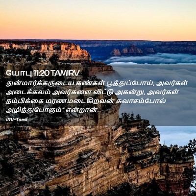 Picture 02 - யோபு 11:20 TAMIRV - துன்மார்க்கருடைய - Bible Verse Picture