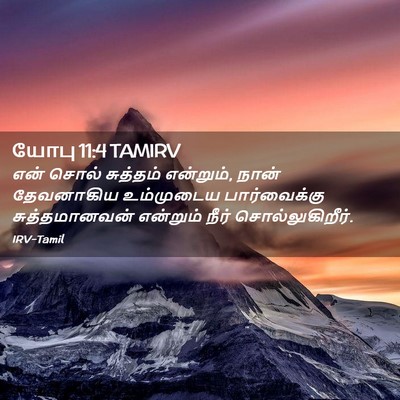 Picture 02 - யோபு 11:4 TAMIRV - என் சொல் சுத்தம் - Bible Verse Picture