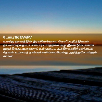 Picture 02 - யோபு 11:6 TAMIRV - உமக்கு ஞானத்தின் - Bible Verse Picture