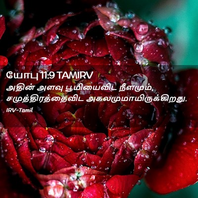 Picture 02 - யோபு 11:9 TAMIRV - அதின் அளவு - Bible Verse Picture