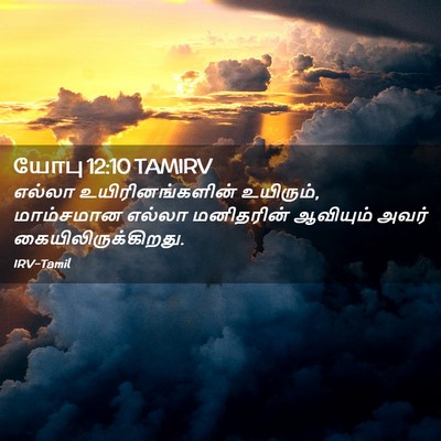 Picture 02 - யோபு 12:10 TAMIRV - எல்லா - Bible Verse Picture
