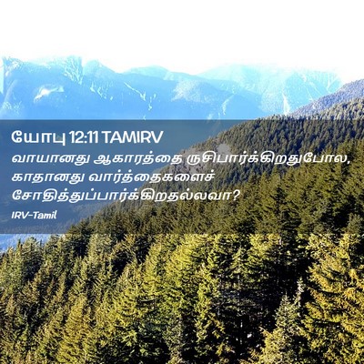 Picture 02 - யோபு 12:11 TAMIRV - வாயானது ஆகாரத்தை - Bible Verse Picture