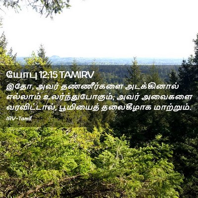 Picture 02 - யோபு 12:15 TAMIRV - இதோ, அவர் - Bible Verse Picture