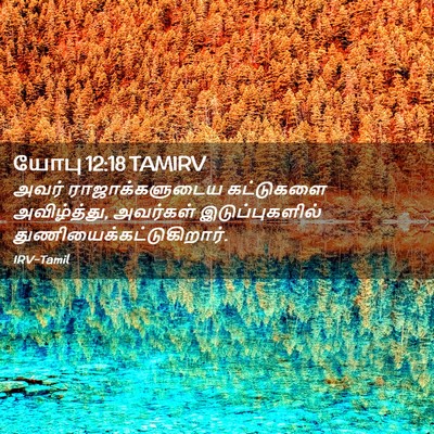 Picture 02 - யோபு 12:18 TAMIRV - அவர் ராஜாக்களுடைய - Bible Verse Picture