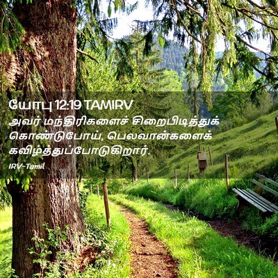 Picture 02 - யோபு 12:19 TAMIRV - அவர் மந்திரிகளைச் - Bible Verse Picture