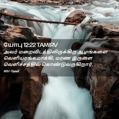 Picture 02 - யோபு 12:22 TAMIRV - அவர் - Bible Verse Picture