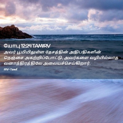 Picture 02 - யோபு 12:24 TAMIRV - அவர் பூமியிலுள்ள - Bible Verse Picture
