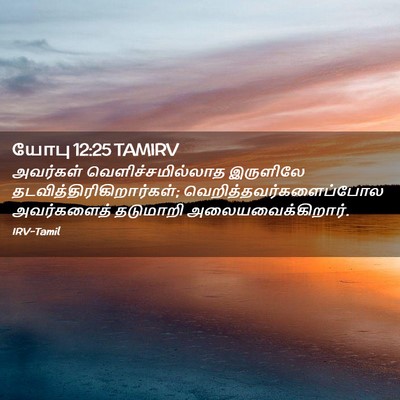 Picture 02 - யோபு 12:25 TAMIRV - அவர்கள் - Bible Verse Picture